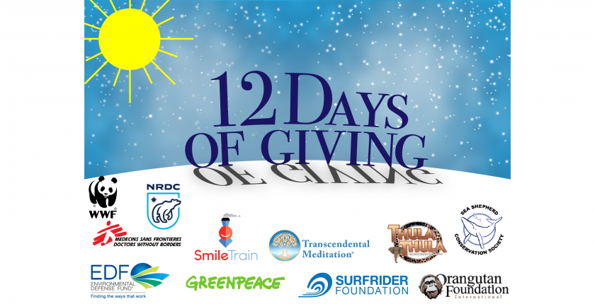 12 Days of Giving with logos